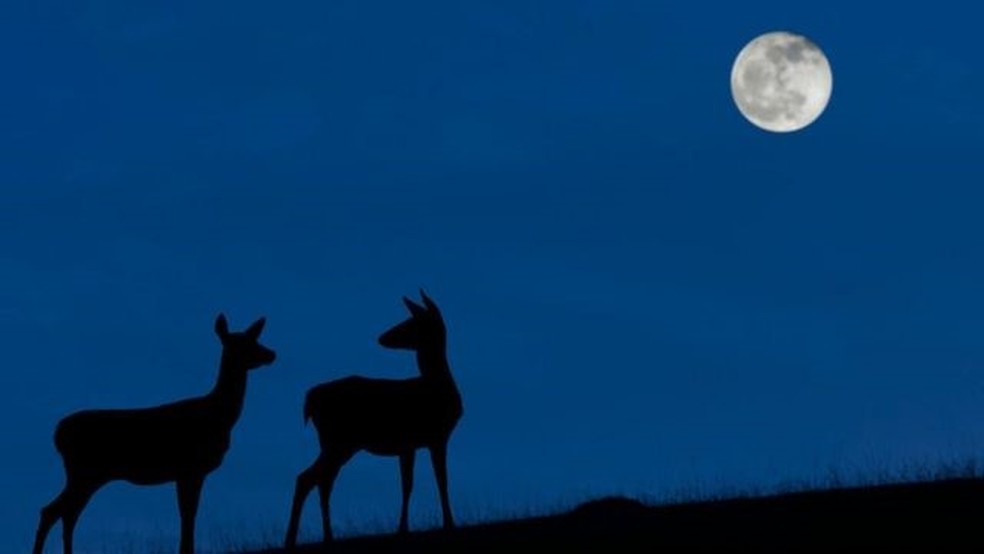 A 'Lua Azul' poderá ser vista na noite de 31 de outubro quando o céu estiver limpo. — Foto: GETTY IMAGES